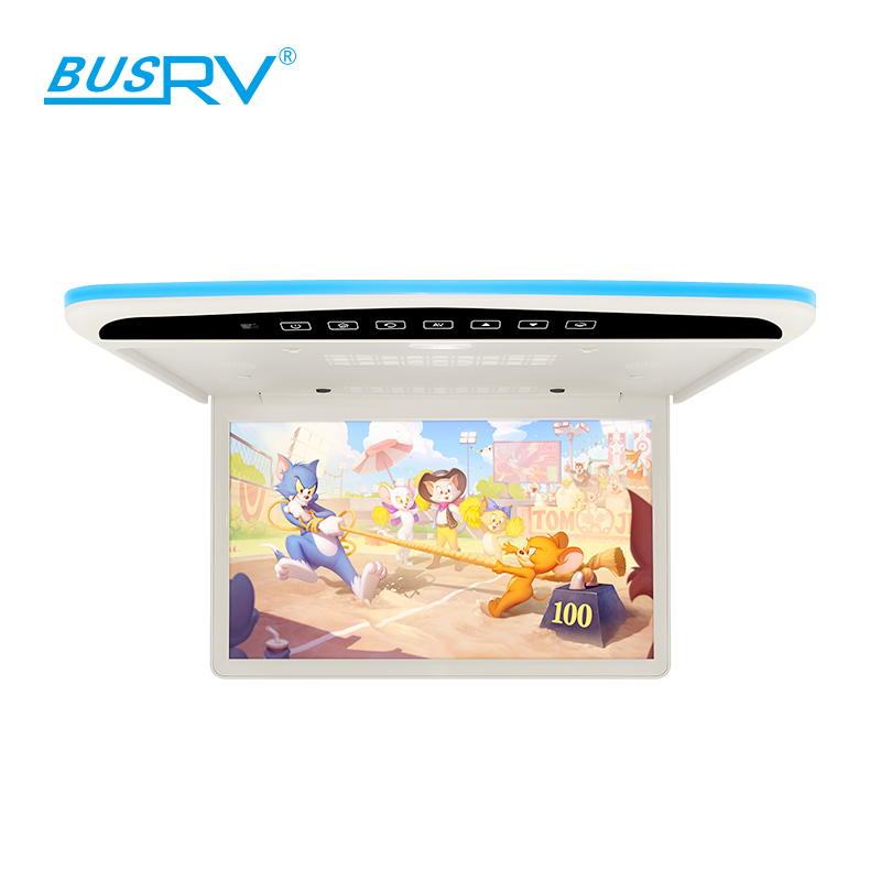 15.6 inch Car Roof Multimedia Monitor（SF-1565）